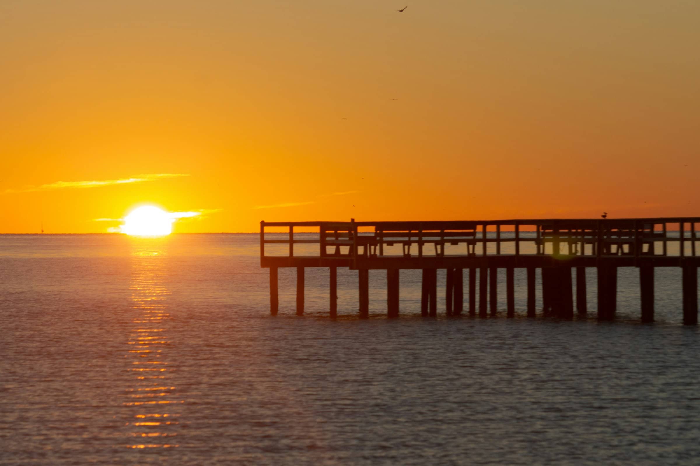A wooden pier in silhouette as the sun meets the gulf horizon