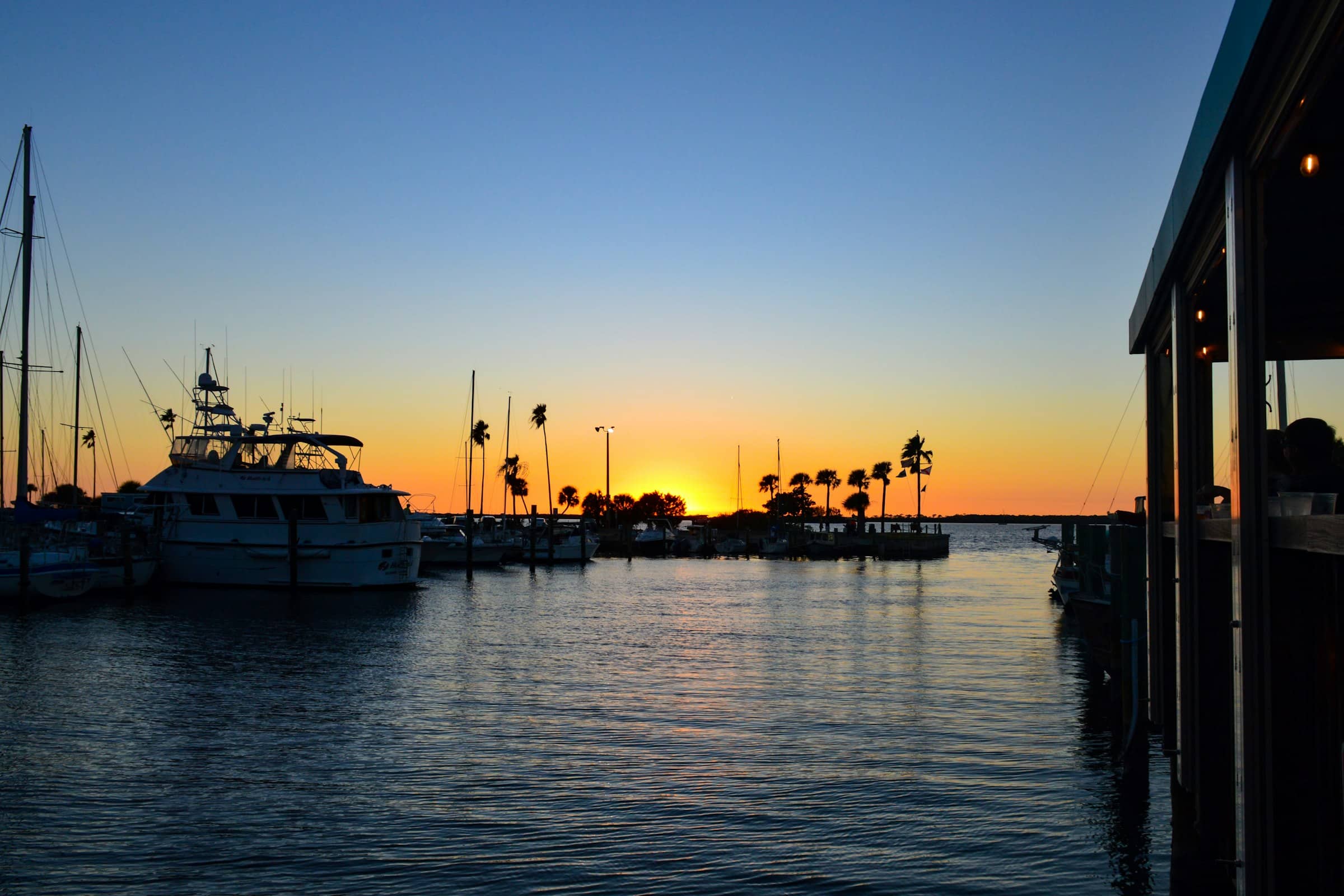 Boats moored in a palm-lined marina as the sun goes down