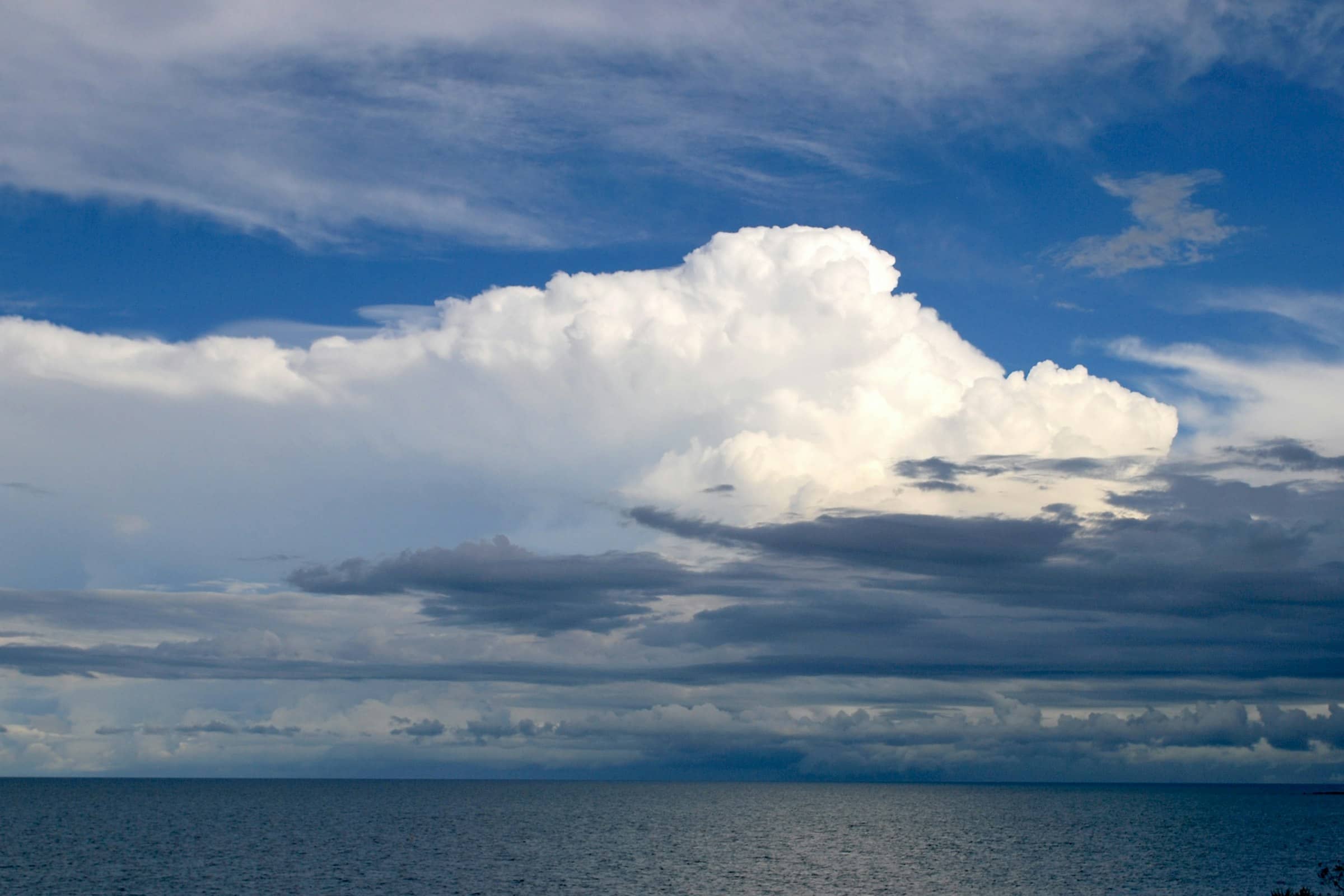 A towering white cumulus cloud building over the gulf at midday