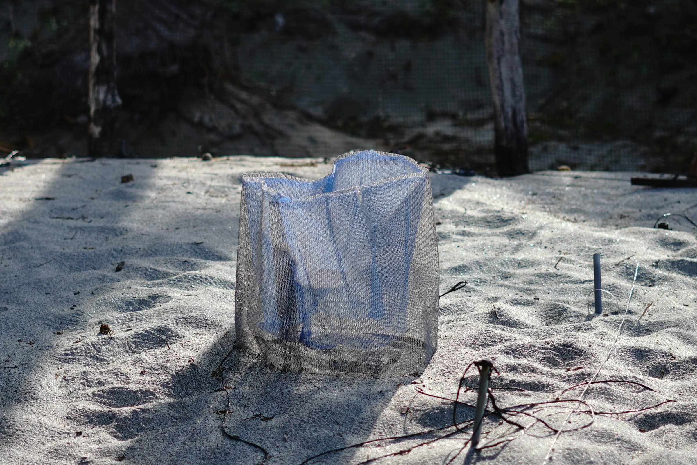A roped nesting marker on an empty stretch of sand at dusk