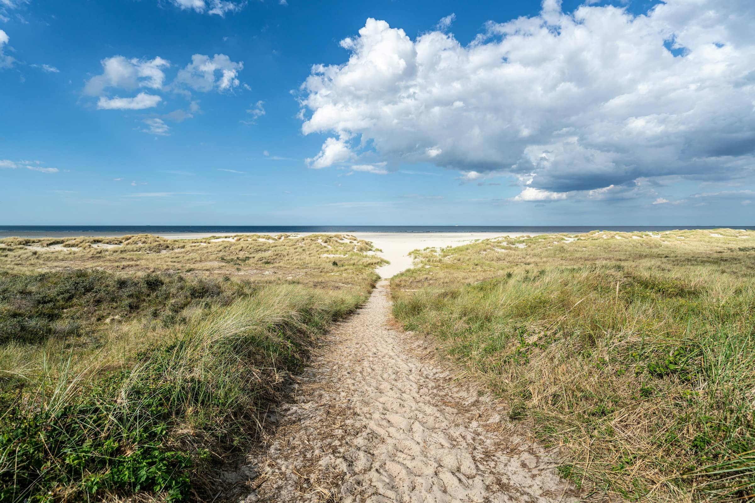A sandy path forking through dunes toward the sea