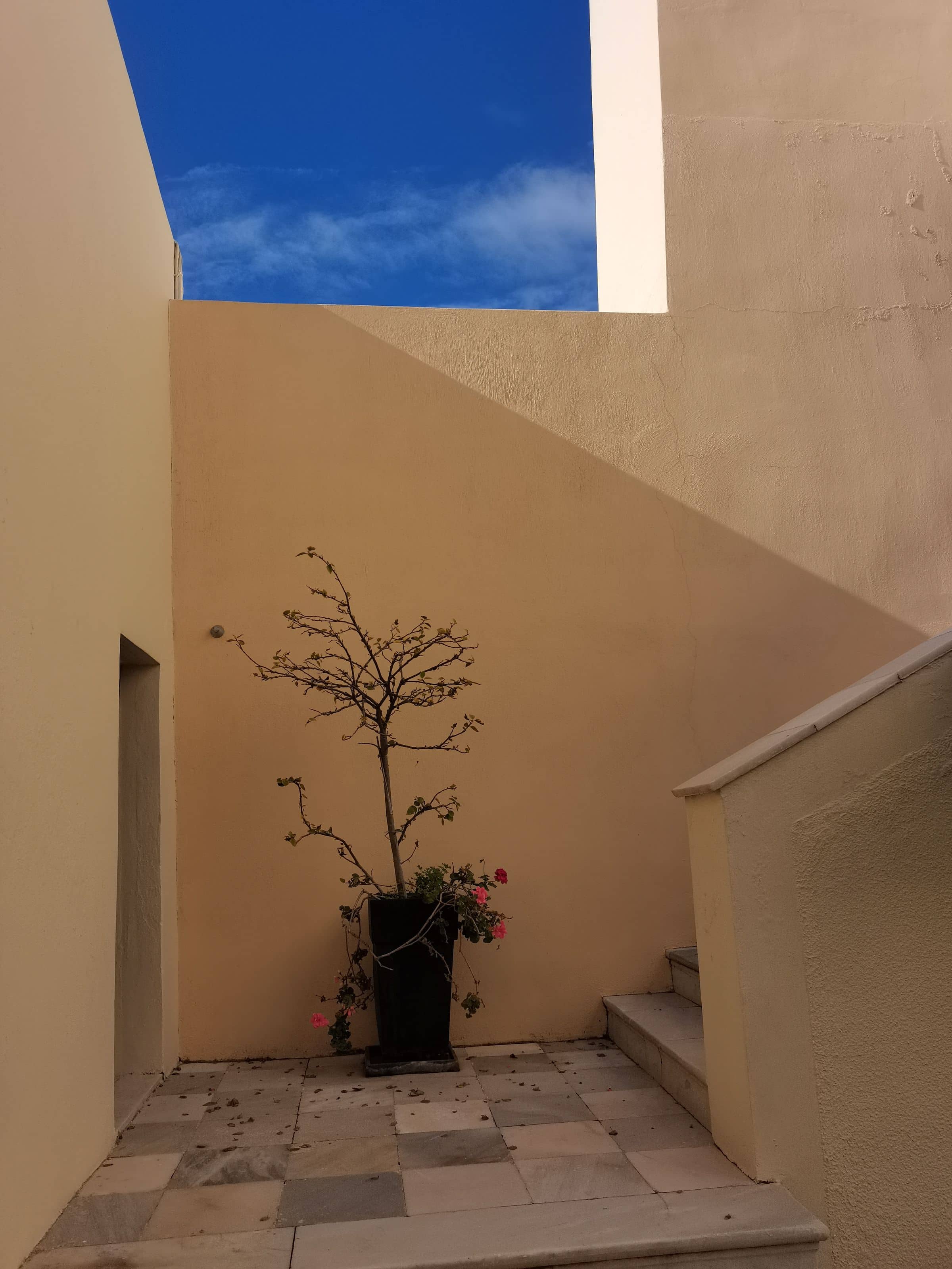 A quiet sand-walled courtyard with a potted tree and tiled floor