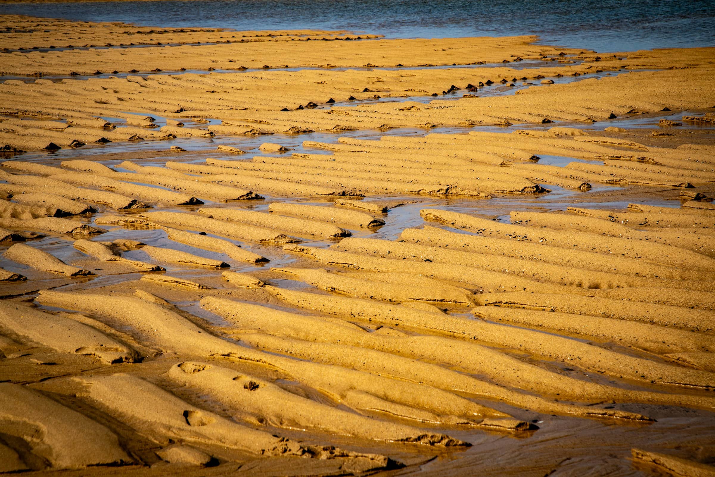 Low evening sun over a quiet gulf beach at the close of the day